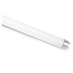 32-Watt Linear T8 Fluorescent Tube Light Bulb Cool White (30-Pack) by Commercial Electric 10 32-Watt Linear T8 Fluorescent Tube Light Bulb Cool White (30-Pack) by Commercial Electric -OCTO LIGHTS Shop commercial electric fluorescent tube lights f32t8 841 a0 1000