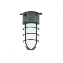 150-Watt Gray Indoor/Outdoor Area Incandescent Vapor Tight Light by Commercial Electric