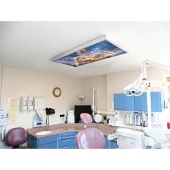 007 1 ft. x 4 ft. Fluorescent Light Filters Astronomy by OCTO LIGHTS -OCTO LIGHTS Shop octo lights ceiling light parts ast 007 1x4 fa 1000