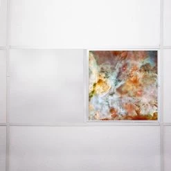 Astronomy 010 2 ft. x 2 ft. Fluorescent Light Filters by OCTO LIGHTS -OCTO LIGHTS Shop octo lights ceiling light parts ast 010 2x2 76 1000