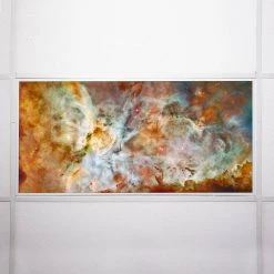 Astronomy 010 2 ft. x 4 ft. Fluorescent Light Filters by OCTO LIGHTS -OCTO LIGHTS Shop octo lights ceiling light parts ast 010 2x4 76 1000