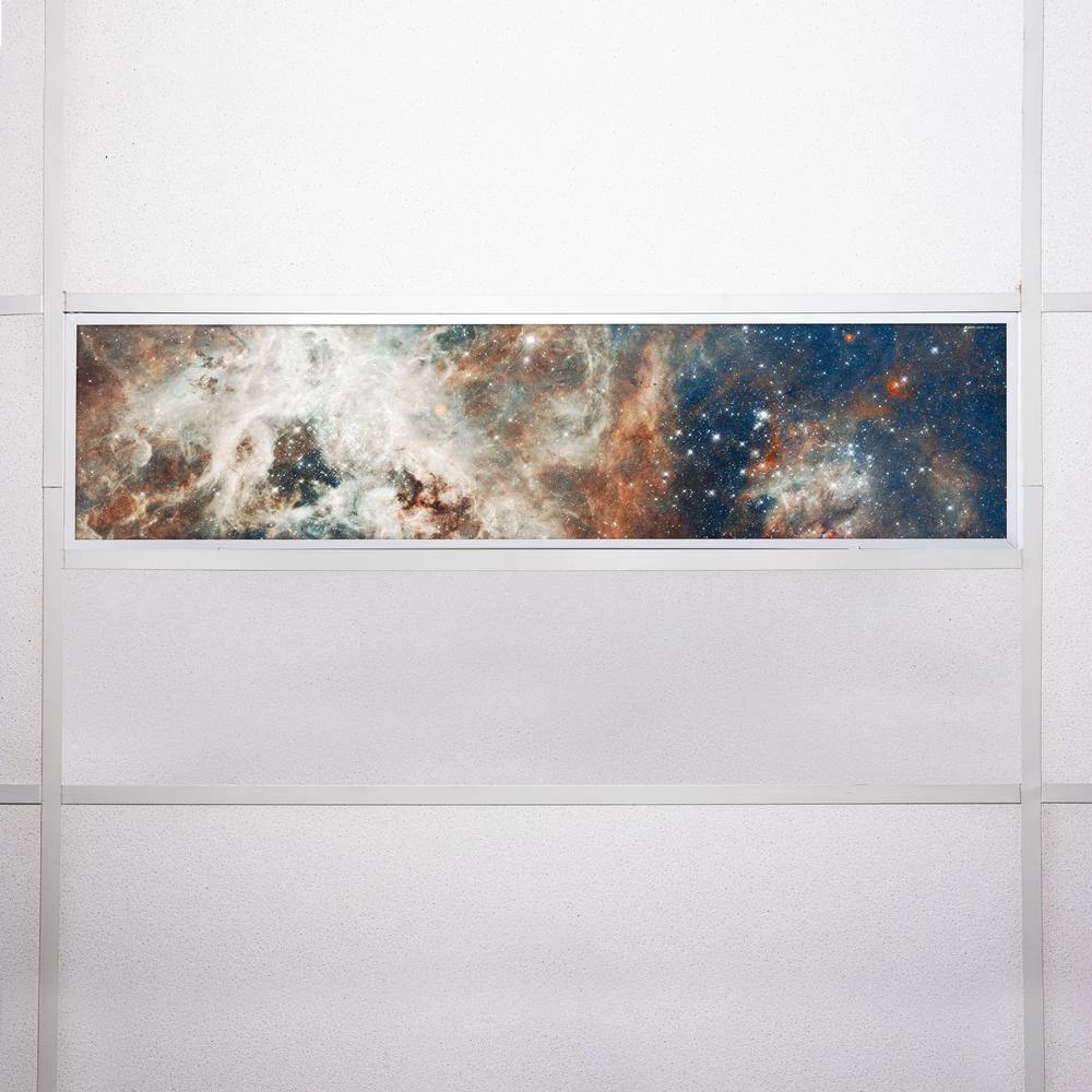 014 1 ft. x 4 ft. Fluorescent Light Filters Astronomy by OCTO LIGHTS 9 014 1 ft. x 4 ft. Fluorescent Light Filters Astronomy by OCTO LIGHTS - Image 7