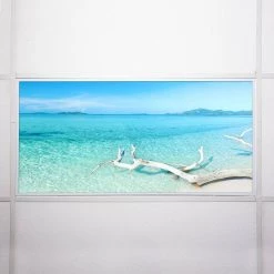 2 x 4 Fluorescent Light Filters Beach 002 by OCTO LIGHTS -OCTO LIGHTS Shop octo lights ceiling light parts bea 002 2x4 76 1000