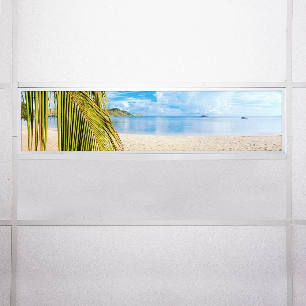 1 x 4 Fluorescent Light Filters Beach 004 by OCTO LIGHTS 9 1 x 4 Fluorescent Light Filters Beach 004 by OCTO LIGHTS - Image 7