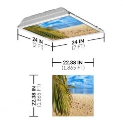 OCTO LIGHTS Shop -OCTO LIGHTS Shop octo lights ceiling light parts bea 004 2x2 c3 1000