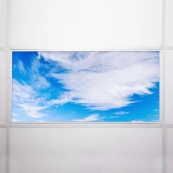 003 2 ft. x 4 ft. Fluorescent Light Filters by OCTO LIGHTS -OCTO LIGHTS Shop octo lights ceiling light parts cld 003 2x4 76 1000