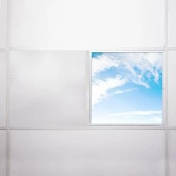 004 2 ft. x 2 ft. Fluorescent Light Filters by OCTO LIGHTS -OCTO LIGHTS Shop octo lights ceiling light parts cld 004 2x2 76 1000