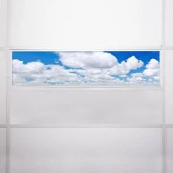 005 1 ft. x 4 ft. Fluorescent Light Filters by OCTO LIGHTS -OCTO LIGHTS Shop octo lights ceiling light parts cld 005 1x4 76 1000