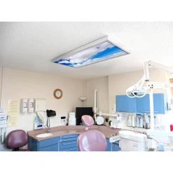 006 2 ft. x 4 ft. Fluorescent Light Filters by OCTO LIGHTS -OCTO LIGHTS Shop octo lights ceiling light parts cld 006 2x4 fa 1000