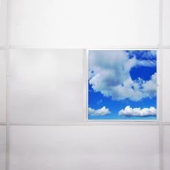 007 2 ft. x 2 ft. Fluorescent Light Filters by OCTO LIGHTS -OCTO LIGHTS Shop octo lights ceiling light parts cld 007 2x2 76 1000