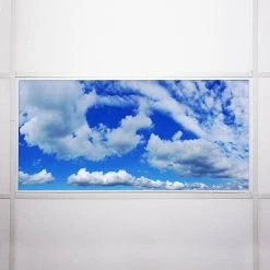 007 2 ft. x 4 ft. Fluorescent Light Filters by OCTO LIGHTS -OCTO LIGHTS Shop octo lights ceiling light parts cld 007 2x4 76 1000