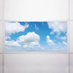 008 2 ft. x 4 ft. Fluorescent Light Filters by OCTO LIGHTS -OCTO LIGHTS Shop octo lights ceiling light parts cld 008 2x4 76 1000