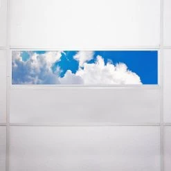 009 1 ft. x 4 ft. Fluorescent Light Filters by OCTO LIGHTS -OCTO LIGHTS Shop octo lights ceiling light parts cld 009 1x4 76 1000