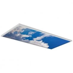 009 2 ft. x 4 ft. Fluorescent Light Filters by OCTO LIGHTS