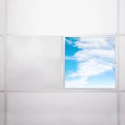 010 2 ft. x 2 ft. Fluorescent Light Filters by OCTO LIGHTS -OCTO LIGHTS Shop octo lights ceiling light parts cld 010 2x2 76 1000