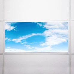 010 2 ft. x 4 ft. Fluorescent Light Filters by OCTO LIGHTS -OCTO LIGHTS Shop octo lights ceiling light parts cld 010 2x4 76 1000