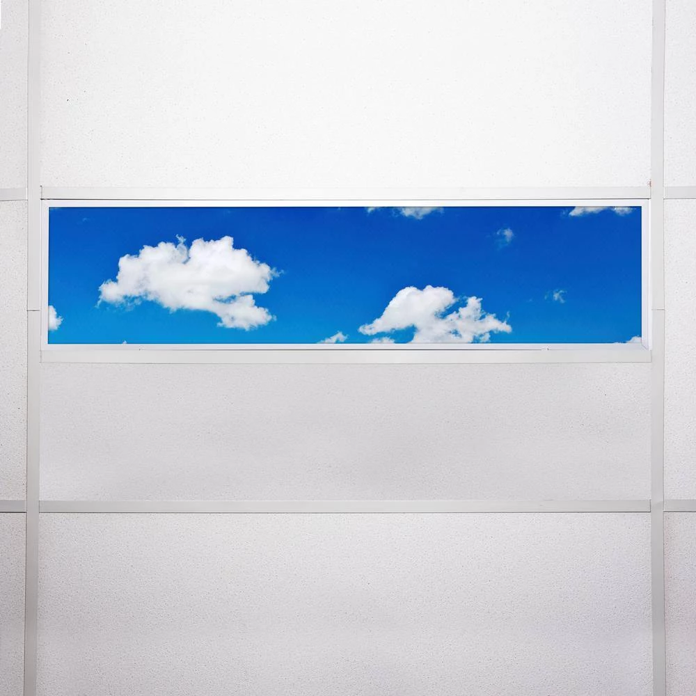 012 1 ft. x 4 ft. Fluorescent Light Filters by OCTO LIGHTS 9 012 1 ft. x 4 ft. Fluorescent Light Filters by OCTO LIGHTS - Image 7