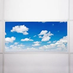 012 2 ft. x 4 ft. Fluorescent Light Filters by OCTO LIGHTS -OCTO LIGHTS Shop octo lights ceiling light parts cld 012 2x4 76 1000