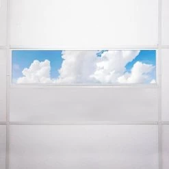 015 1 ft. x 4 ft. Fluorescent Light Filters by OCTO LIGHTS -OCTO LIGHTS Shop octo lights ceiling light parts cld 015 1x4 76 1000