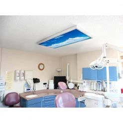 017 2 ft. x 4 ft. Fluorescent Light Filters by OCTO LIGHTS -OCTO LIGHTS Shop octo lights ceiling light parts cld 017 2x4 fa 1000