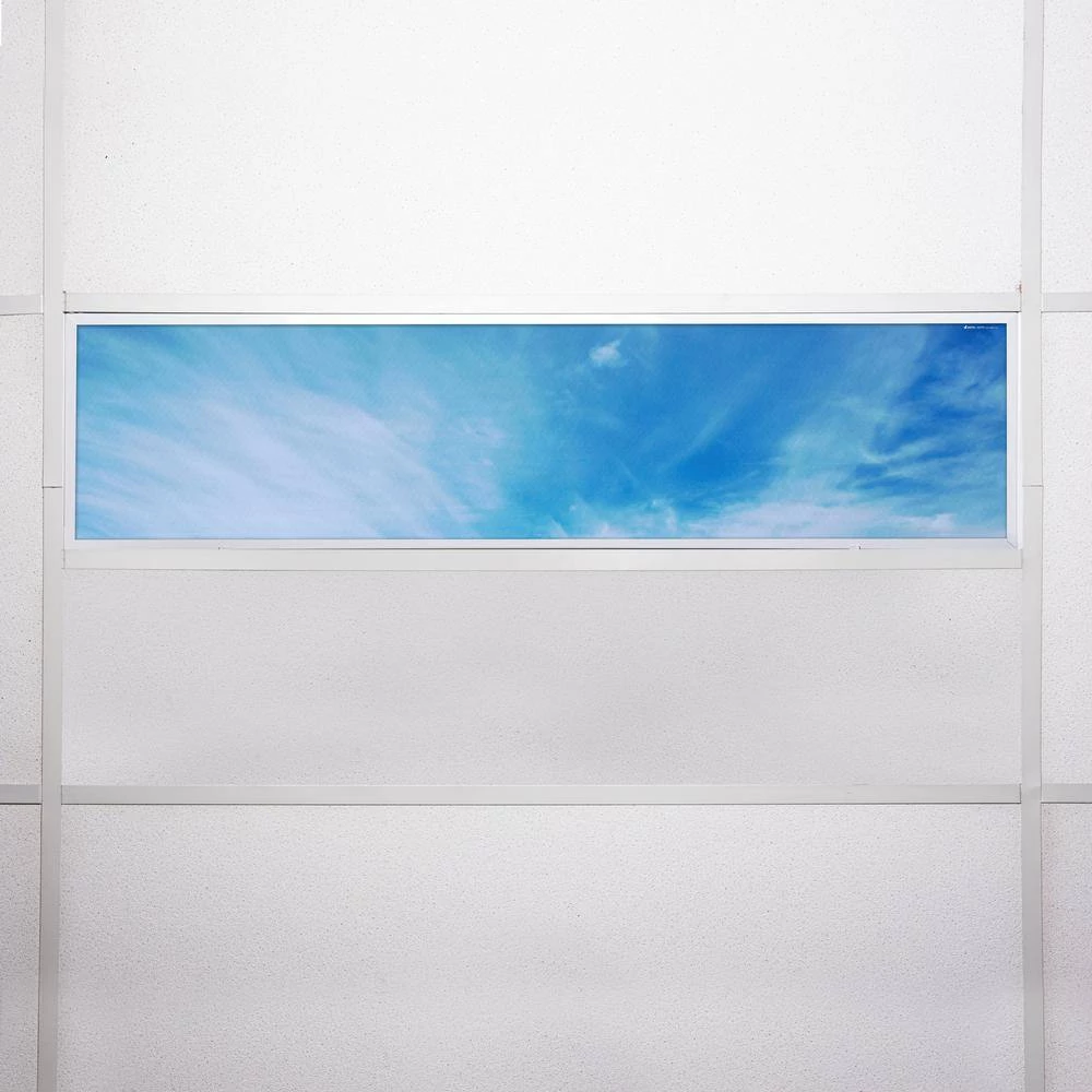 018 1 ft. x 4 ft. Fluorescent Light Filters by OCTO LIGHTS 9 018 1 ft. x 4 ft. Fluorescent Light Filters by OCTO LIGHTS - Image 7