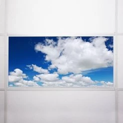 019 2 ft. x 4 ft. Fluorescent Light Filters by OCTO LIGHTS -OCTO LIGHTS Shop octo lights ceiling light parts cld 019 2x4 76 1000