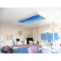 020 1 ft. x 4 ft. Fluorescent Light Filters by OCTO LIGHTS -OCTO LIGHTS Shop octo lights ceiling light parts cld 020 1x4 fa 1000