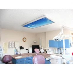 020 2 ft. x 4 ft. Fluorescent Light Filters by OCTO LIGHTS -OCTO LIGHTS Shop octo lights ceiling light parts cld 020 2x4 fa 1000