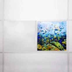 Ocean 001 2 ft. x 2 ft. Flexible Decorative Light Diffuser Panels Ocean for Classrooms and Offices by OCTO LIGHTS -OCTO LIGHTS Shop octo lights ceiling light parts oce 001 2x2 76 1000