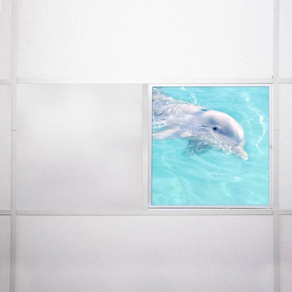 Ocean 002 2 ft. x 2 ft. Flexible Decorative Light Diffuser Panels Ocean for Classrooms and Offices by OCTO LIGHTS 9 Ocean 002 2 ft. x 2 ft. Flexible Decorative Light Diffuser Panels Ocean for Classrooms and Offices by OCTO LIGHTS - Image 7