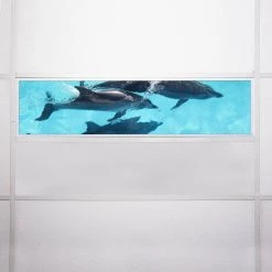 Ocean 003 1 ft. x 4 ft. Flexible Decorative Light Diffuser Panels Ocean for Classrooms and Offices by OCTO LIGHTS 15 Ocean 003 1 ft. x 4 ft. Flexible Decorative Light Diffuser Panels Ocean for Classrooms and Offices by OCTO LIGHTS -OCTO LIGHTS Shop octo lights ceiling light parts oce 003 1x4 76 1000