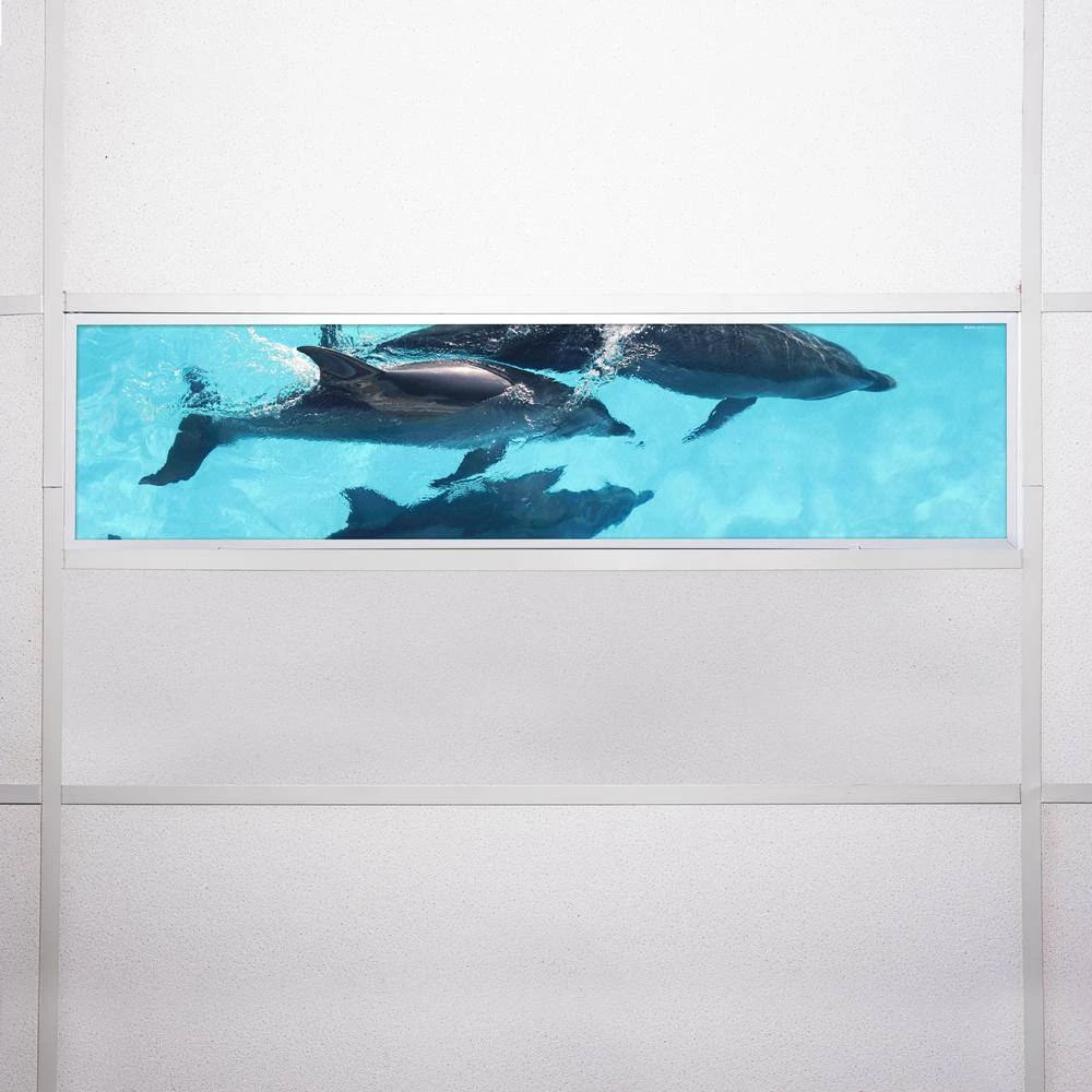 Ocean 003 1 ft. x 4 ft. Flexible Decorative Light Diffuser Panels Ocean for Classrooms and Offices by OCTO LIGHTS 9 Ocean 003 1 ft. x 4 ft. Flexible Decorative Light Diffuser Panels Ocean for Classrooms and Offices by OCTO LIGHTS - Image 7