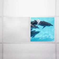 Ocean 003 2 ft. x 2 ft. Flexible Decorative Light Diffuser Panels Ocean for Classrooms and Offices by OCTO LIGHTS 15 Ocean 003 2 ft. x 2 ft. Flexible Decorative Light Diffuser Panels Ocean for Classrooms and Offices by OCTO LIGHTS -OCTO LIGHTS Shop octo lights ceiling light parts oce 003 2x2 76 1000