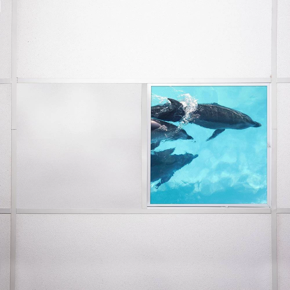 Ocean 003 2 ft. x 2 ft. Flexible Decorative Light Diffuser Panels Ocean for Classrooms and Offices by OCTO LIGHTS 9 Ocean 003 2 ft. x 2 ft. Flexible Decorative Light Diffuser Panels Ocean for Classrooms and Offices by OCTO LIGHTS - Image 7