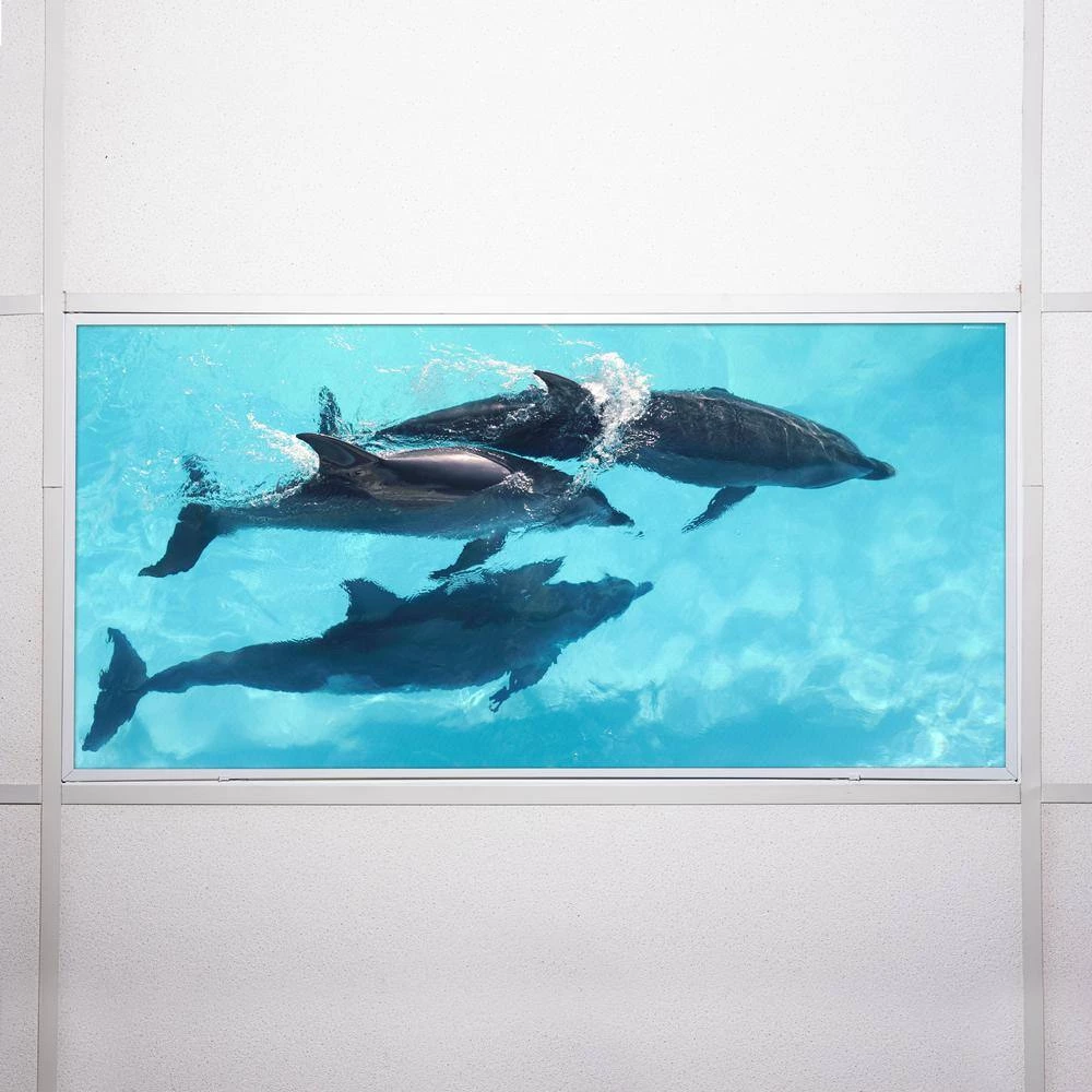 Ocean 003 2 ft. x 4 ft. Flexible Decorative Light Diffuser Panels Ocean for Classrooms and Offices by OCTO LIGHTS 9 Ocean 003 2 ft. x 4 ft. Flexible Decorative Light Diffuser Panels Ocean for Classrooms and Offices by OCTO LIGHTS - Image 7