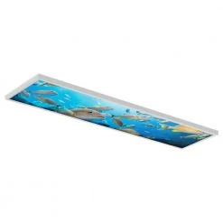 Ocean 004 1 ft. x 4 ft. Flexible Decorative Light Diffuser Panels Ocean for Classrooms and Offices by OCTO LIGHTS