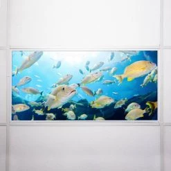 Ocean 004 2 ft. x 4 ft. Flexible Decorative Light Diffuser Panels Ocean for Classrooms and Offices by OCTO LIGHTS 15 Ocean 004 2 ft. x 4 ft. Flexible Decorative Light Diffuser Panels Ocean for Classrooms and Offices by OCTO LIGHTS -OCTO LIGHTS Shop octo lights ceiling light parts oce 004 2x4 76 1000