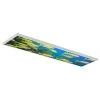 1 ft. x 4 ft. Flexible Decorative Light Diffuser Panels Ocean For Classrooms and Offices Ocean 005 by OCTO LIGHTS -OCTO LIGHTS Shop octo lights ceiling light parts oce 005 1x4 64 1000