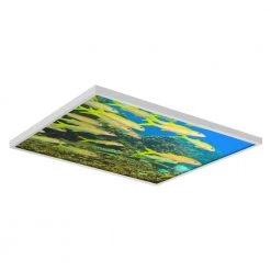 Ocean 005 2 ft. x 2 ft. Flexible Decorative Light Diffuser Panels Ocean for Classrooms and Offices by OCTO LIGHTS