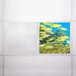 Ocean 005 2 ft. x 2 ft. Flexible Decorative Light Diffuser Panels Ocean for Classrooms and Offices by OCTO LIGHTS -OCTO LIGHTS Shop octo lights ceiling light parts oce 005 2x2 76 1000