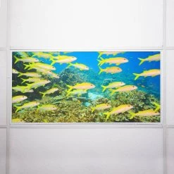 Ocean 005 2 ft. x 4 ft. Flexible Decorative Light Diffuser Panels Ocean for Classrooms and Offices by OCTO LIGHTS -OCTO LIGHTS Shop octo lights ceiling light parts oce 005 2x4 76 1000