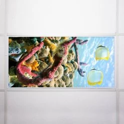 Ocean 006 2 ft. x 4 ft. Flexible Decorative Light Diffuser Panels Ocean for Classrooms and Offices by OCTO LIGHTS 15 Ocean 006 2 ft. x 4 ft. Flexible Decorative Light Diffuser Panels Ocean for Classrooms and Offices by OCTO LIGHTS -OCTO LIGHTS Shop octo lights ceiling light parts oce 006 2x4 76 1000