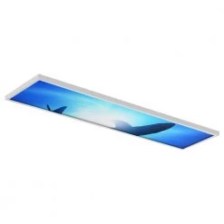 Ocean 007 1 ft. x 4 ft. Flexible Decorative Light Diffuser Panels Ocean for Classrooms and Offices by OCTO LIGHTS