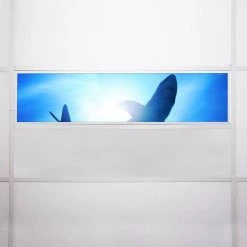 Ocean 007 1 ft. x 4 ft. Flexible Decorative Light Diffuser Panels Ocean for Classrooms and Offices by OCTO LIGHTS 15 Ocean 007 1 ft. x 4 ft. Flexible Decorative Light Diffuser Panels Ocean for Classrooms and Offices by OCTO LIGHTS -OCTO LIGHTS Shop octo lights ceiling light parts oce 007 1x4 76 1000