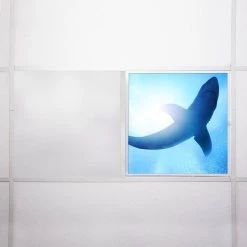 Ocean 007 2 ft. x 2 ft. Flexible Decorative Light Diffuser Panels Ocean for Classrooms and Offices by OCTO LIGHTS -OCTO LIGHTS Shop octo lights ceiling light parts oce 007 2x2 76 1000