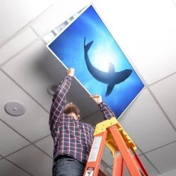 Ocean 007 2 ft. x 4 ft. Flexible Decorative Light Diffuser Panels Ocean for Classrooms and Offices by OCTO LIGHTS -OCTO LIGHTS Shop octo lights ceiling light parts oce 007 2x4 44 1000