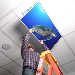 Ocean 008 1 ft. x 4 ft. Flexible Decorative Light Diffuser Panels Ocean for Classrooms and Offices by OCTO LIGHTS 13 Ocean 008 1 ft. x 4 ft. Flexible Decorative Light Diffuser Panels Ocean for Classrooms and Offices by OCTO LIGHTS -OCTO LIGHTS Shop octo lights ceiling light parts oce 008 1x4 44 1000