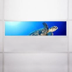 Ocean 008 1 ft. x 4 ft. Flexible Decorative Light Diffuser Panels Ocean for Classrooms and Offices by OCTO LIGHTS 15 Ocean 008 1 ft. x 4 ft. Flexible Decorative Light Diffuser Panels Ocean for Classrooms and Offices by OCTO LIGHTS -OCTO LIGHTS Shop octo lights ceiling light parts oce 008 1x4 76 1000
