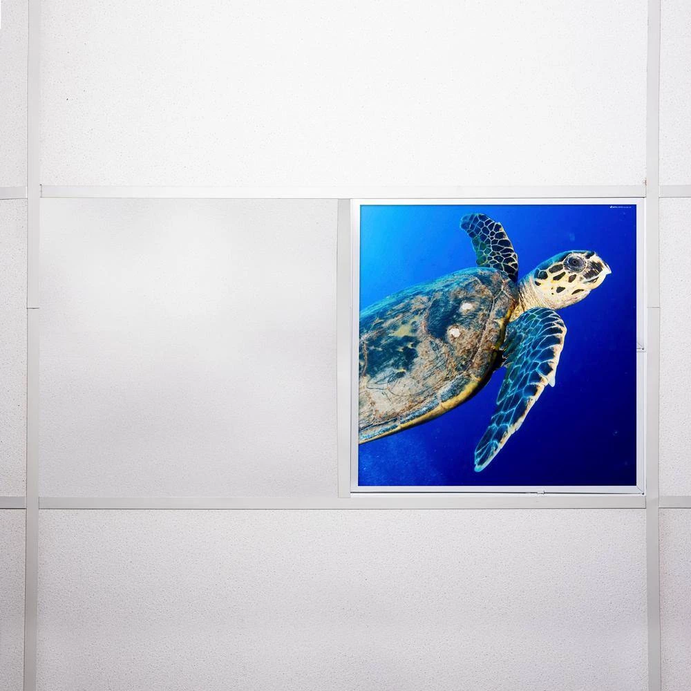 Ocean 008 2 ft. x 2 ft. Flexible Decorative Light Diffuser Panels Ocean for Classrooms and Offices by OCTO LIGHTS 9 Ocean 008 2 ft. x 2 ft. Flexible Decorative Light Diffuser Panels Ocean for Classrooms and Offices by OCTO LIGHTS - Image 7