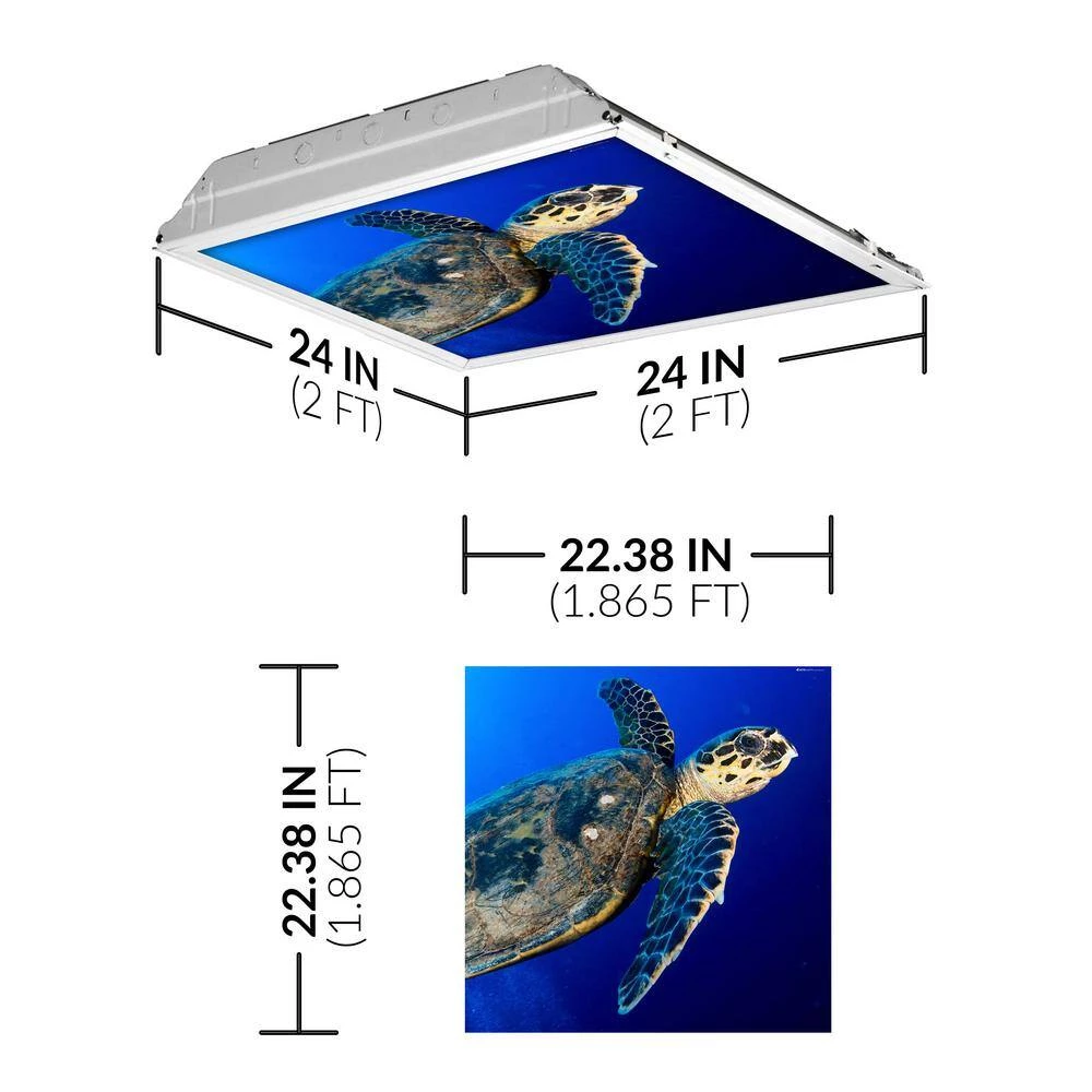 Ocean 008 2 ft. x 2 ft. Flexible Decorative Light Diffuser Panels Ocean for Classrooms and Offices by OCTO LIGHTS 4 Ocean 008 2 ft. x 2 ft. Flexible Decorative Light Diffuser Panels Ocean for Classrooms and Offices by OCTO LIGHTS - Image 2